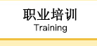 职业培训